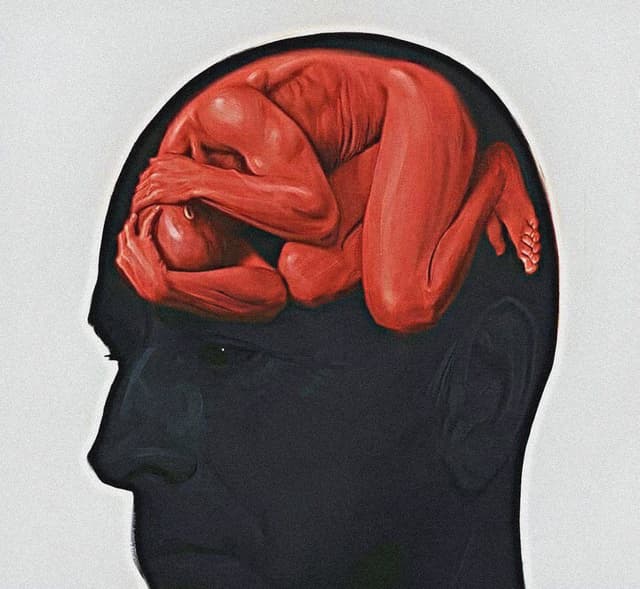 Etiologia e diagnóstico das psicopatologias contemporâneas à partir da neurose de angústia.