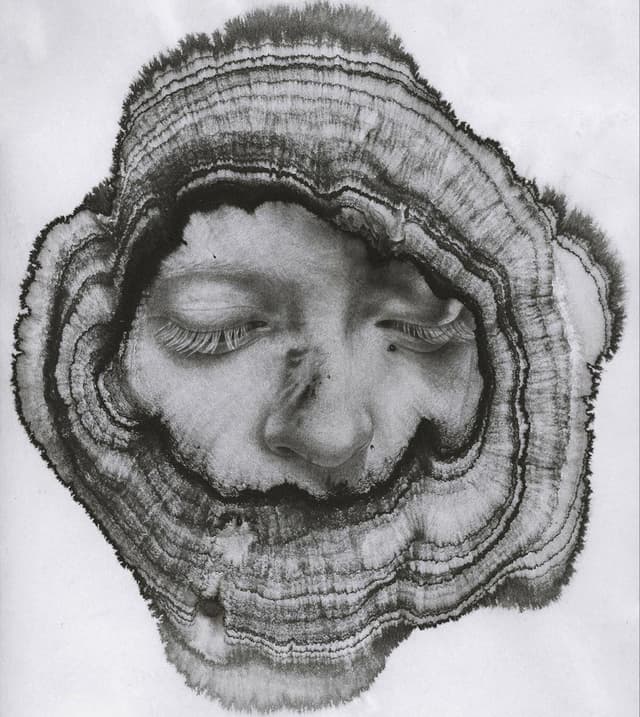 A importância da estratégia Saúde da Família como forma da Atenção Básica no sistema público de saúde brasileiro